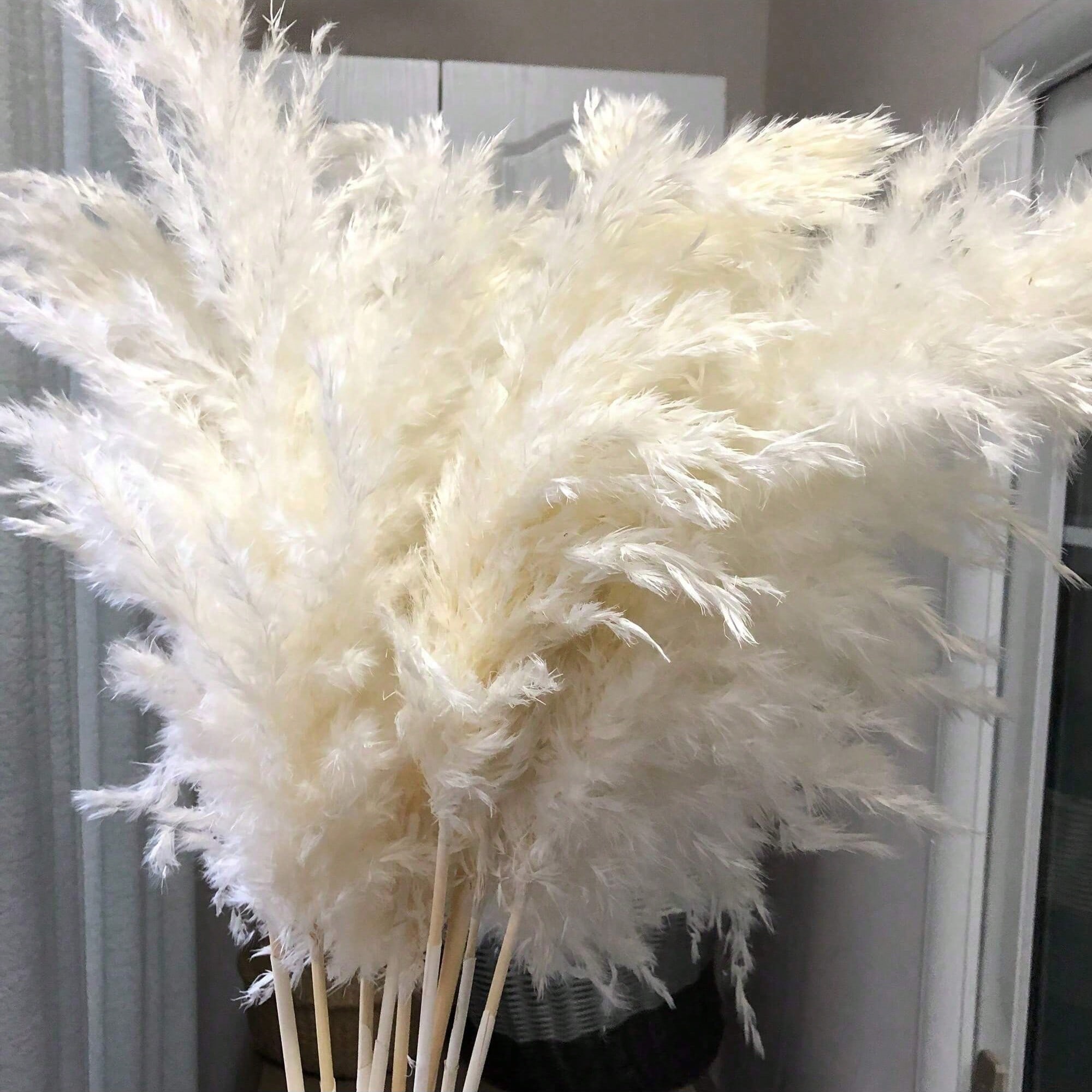 Pampas Grass Decor - 10/20/30 Stück weißes künstliches Pampasgras-Dekor, 17,3