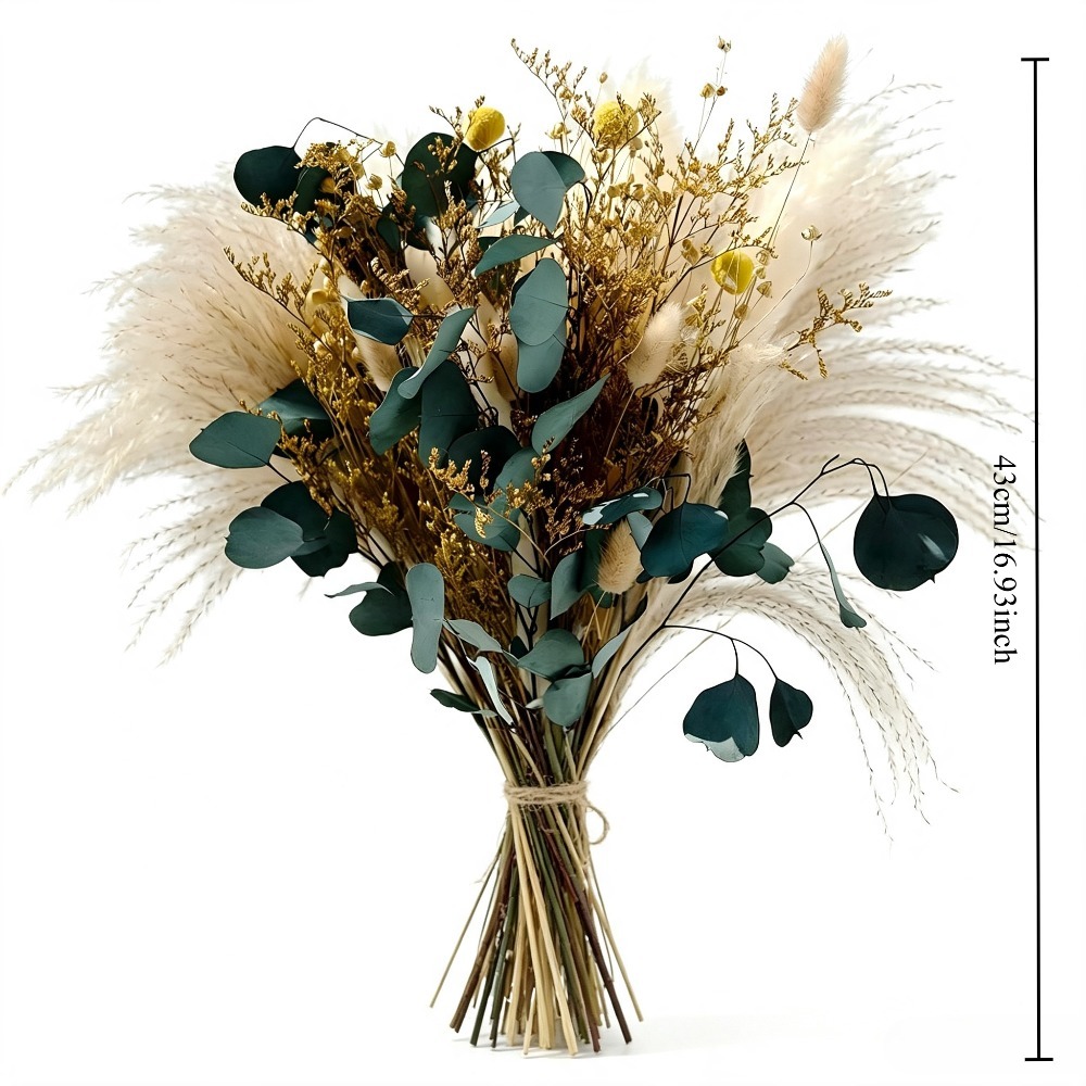 Natürlich getrockneter Pampasg – Pampas Grass Decor Bewertung und Preis