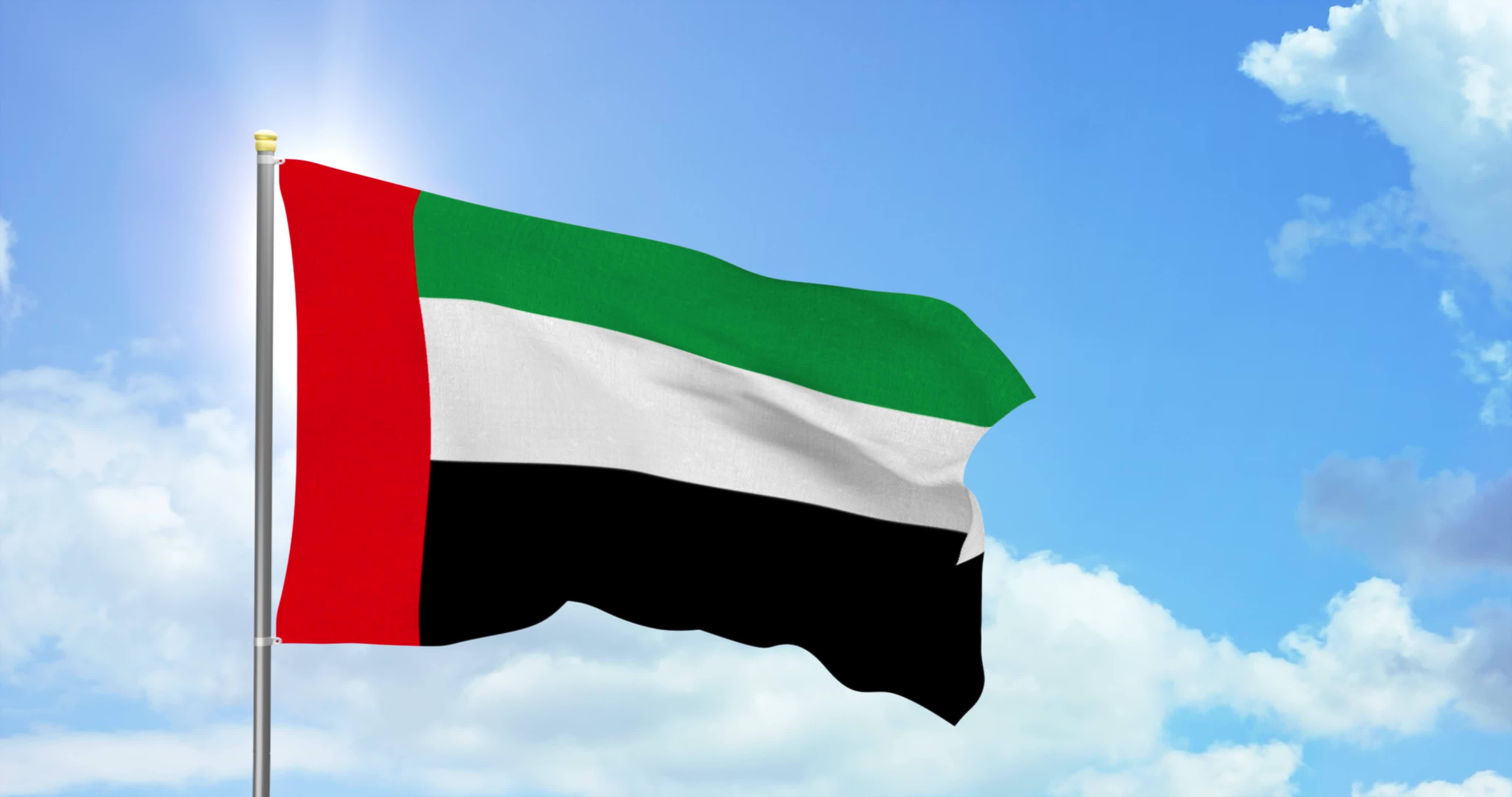 (TIKI FLAG) Vereinigte Arabisc – Home Decor Uae Bewertung und Preis