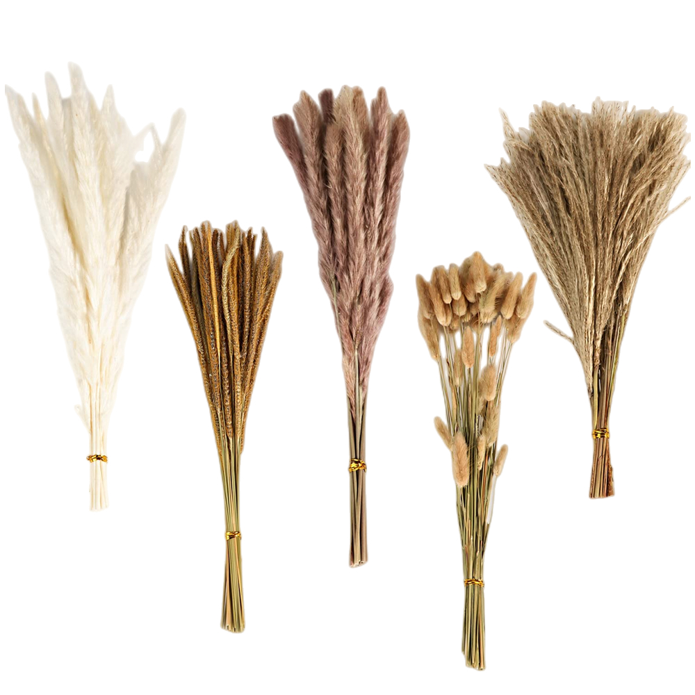 Herbstlicher Vintage-Mischblum – Pampas Grass Decor Bewertung und Preis