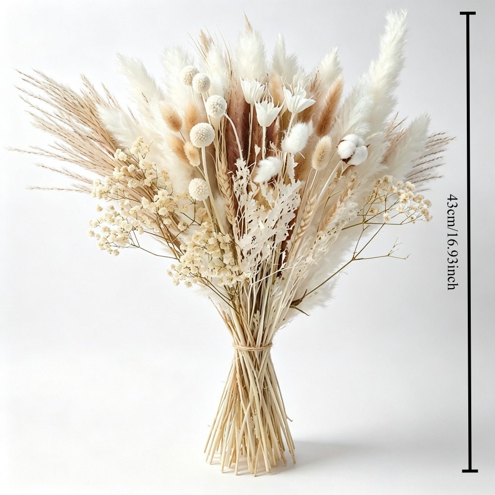 Natürlicher Trocken-Pampasgras – Pampas Grass Decor Bewertung und Preis