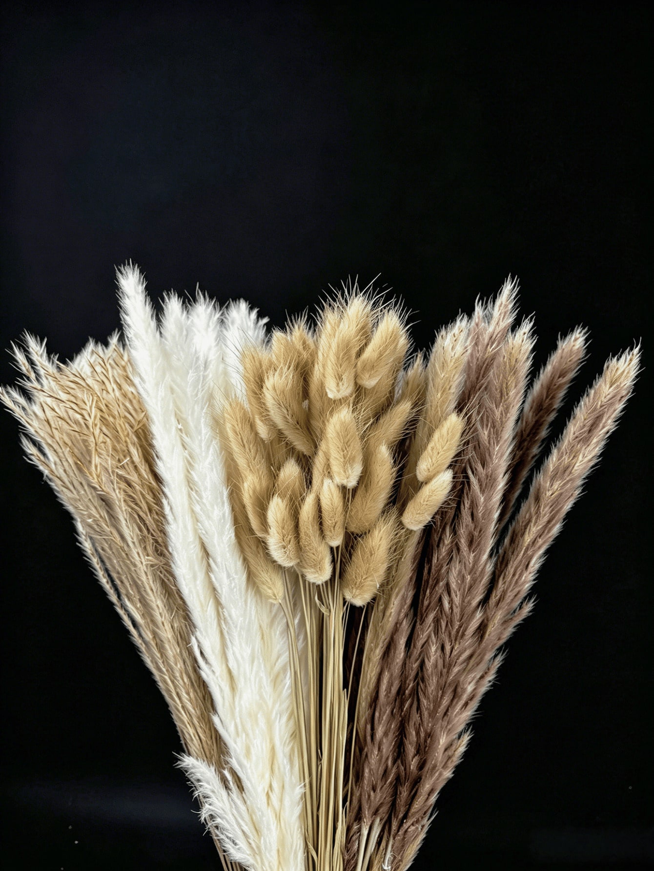 10/20/30 Stück weißes künstlic – Pampas Grass Decor Bewertung und Preis