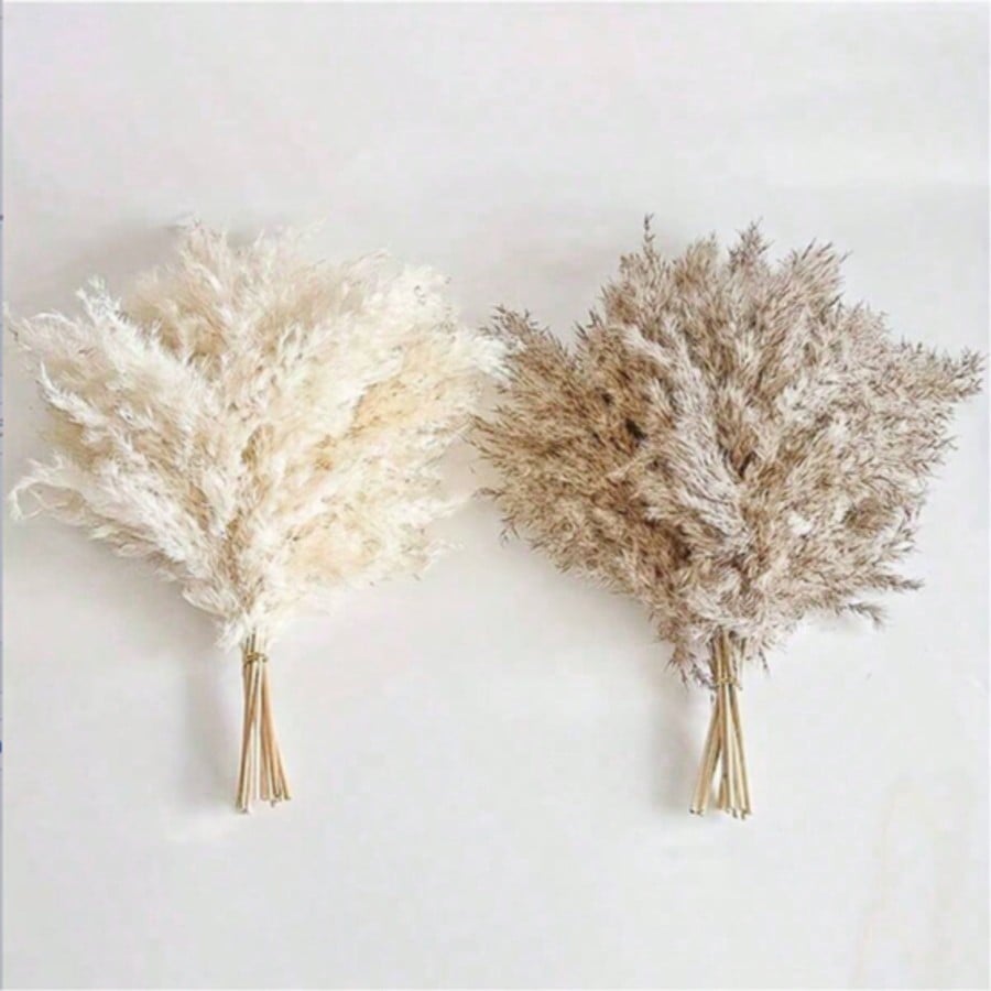 10/20/30 Stück weißes künstlic – Pampas Grass Decor Bewertung und Preis